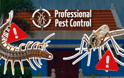 Get Ready for the Rainy Season: Pest Control Tips to Keep Mosquitoes and Centipedes at Bay