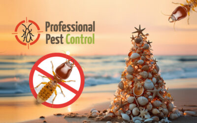 Termite Behavior During the Festive Season: What You Need to Know